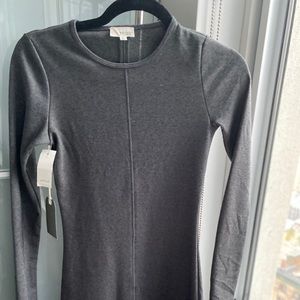 Aritzia tight long sleeve dress (new with tags)